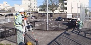 pn
